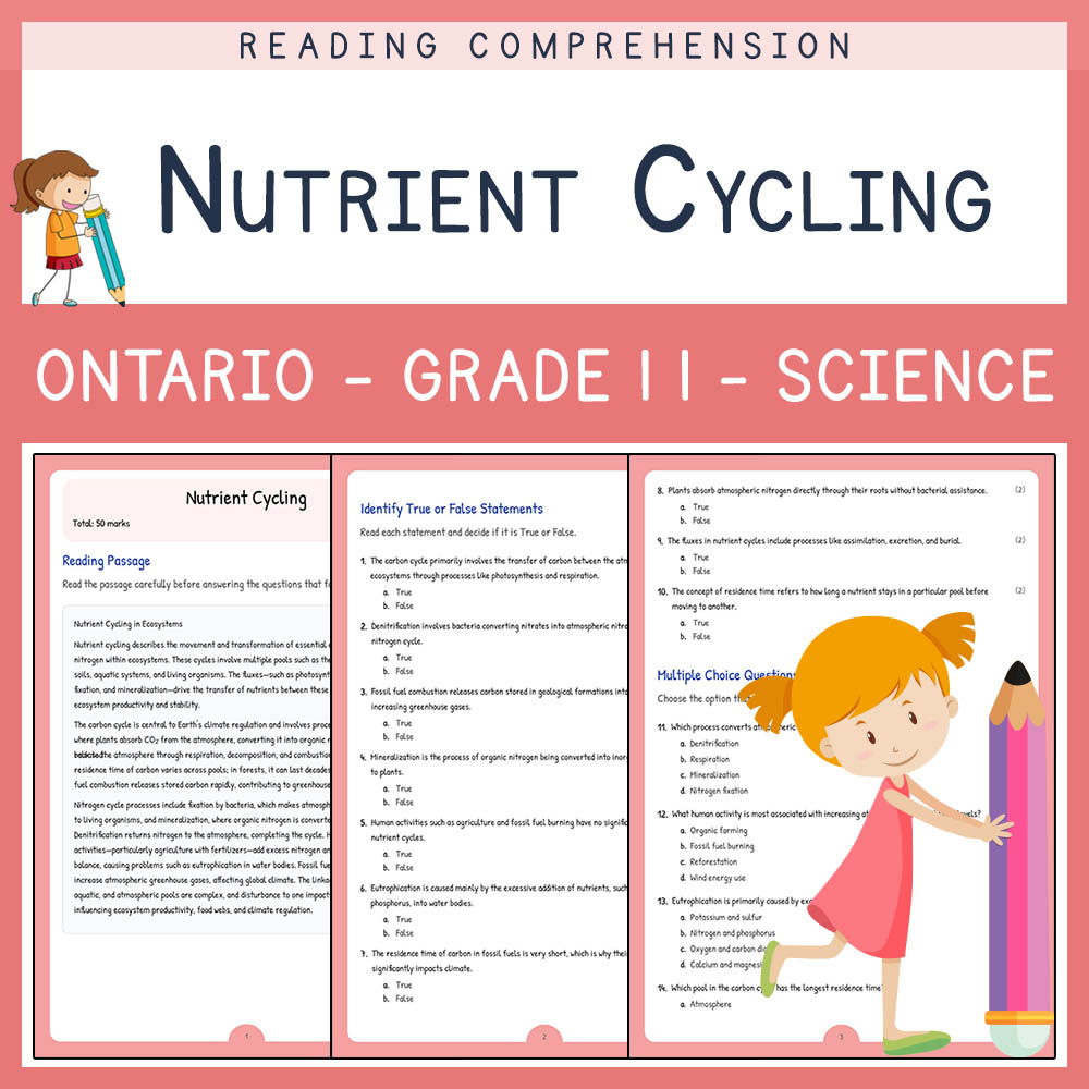 Grade 11 Science worksheet elena worksheet — Grade 11 Science Assessment | Nutrient Cycling Worksheet Elena | Ontario — pa…