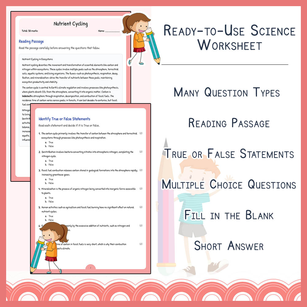 Grade 11 Science worksheet elena worksheet — Grade 11 Science Assessment | Nutrient Cycling Worksheet Elena | Ontario — pa…