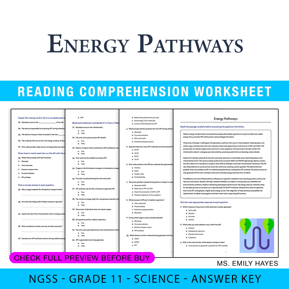 Grade 11 Science worksheet worksheet — 11th Grade Science | Energy Pathways Worksheet (PDF+ Answer Key) — page 1
