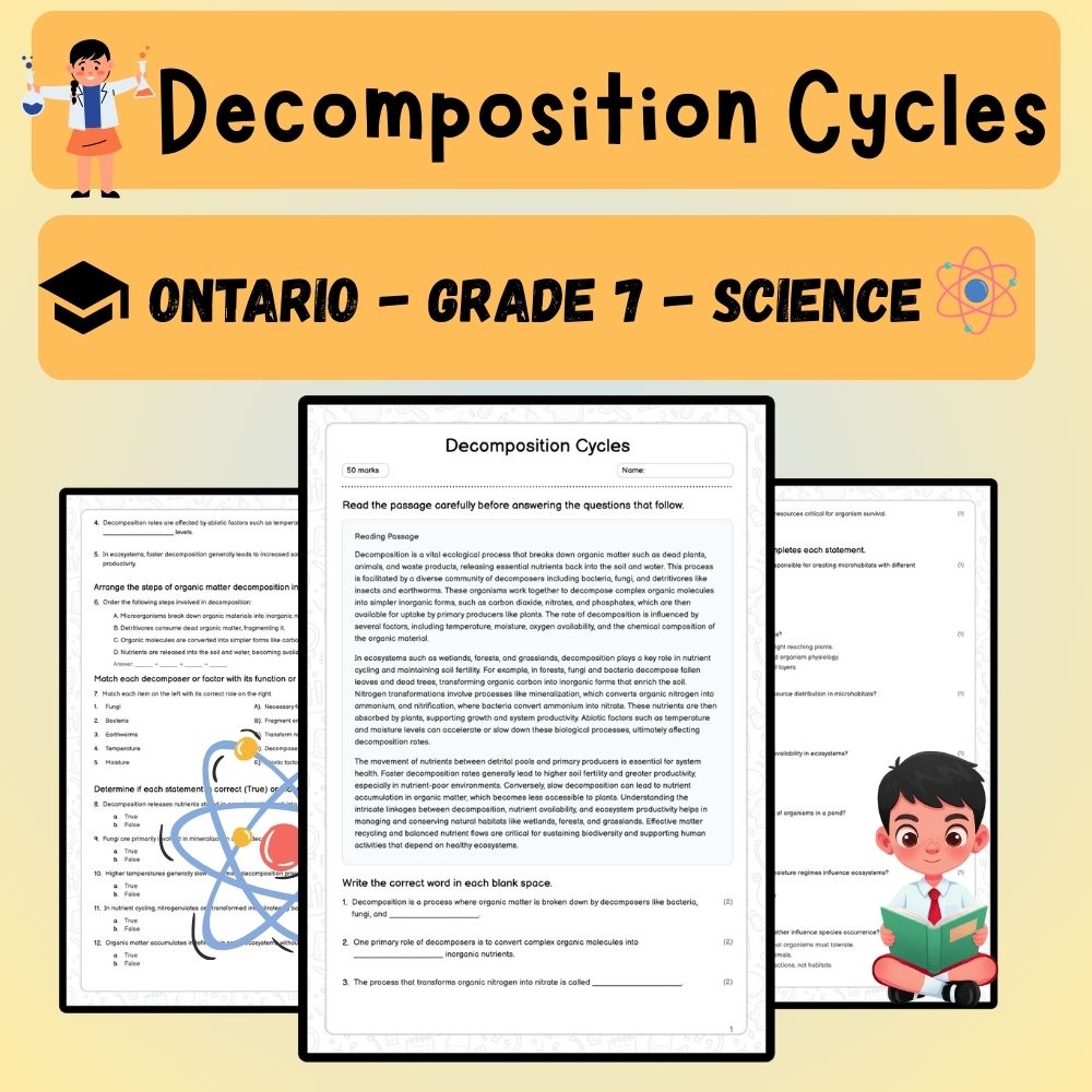 Grade 7 Science worksheet worksheet — Grade 7 Science | Decomposition Cycles Worksheet (PDF ) — page 1