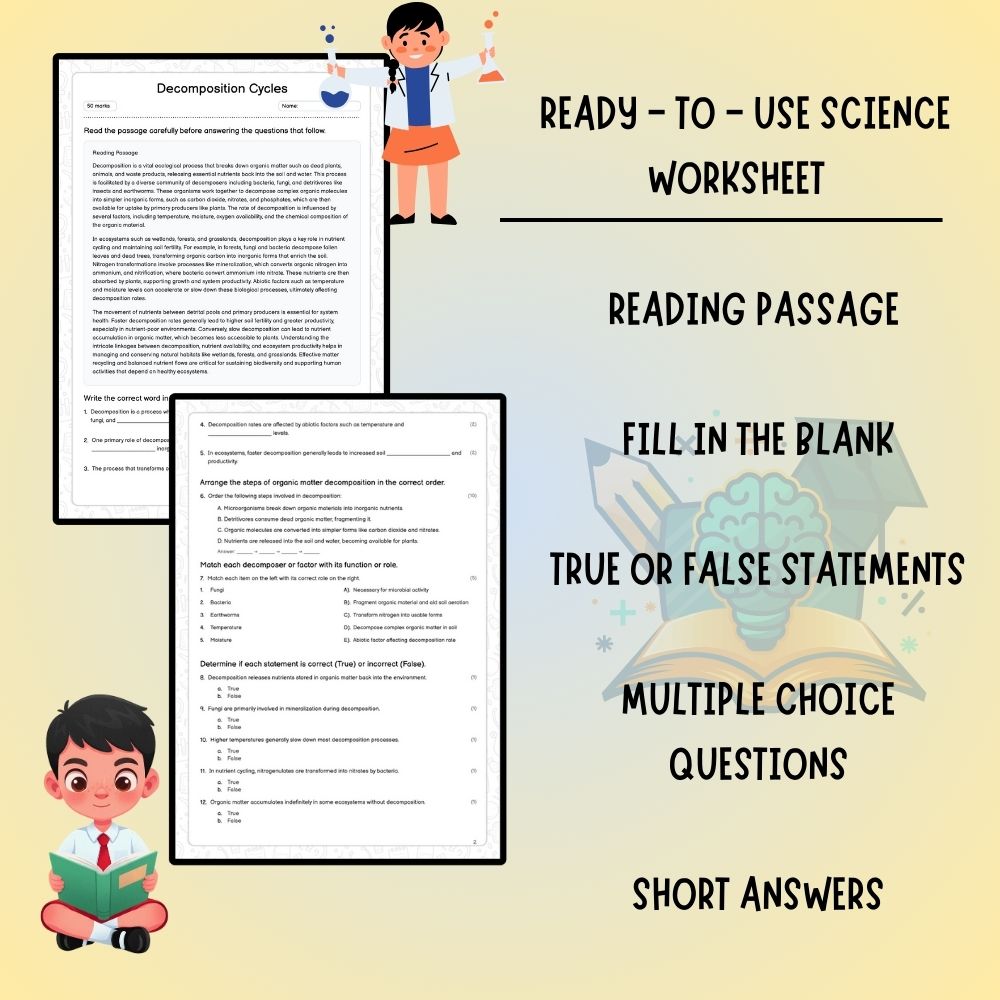 Grade 7 Science worksheet worksheet — Grade 7 Science | Decomposition Cycles Worksheet (PDF ) — page 2