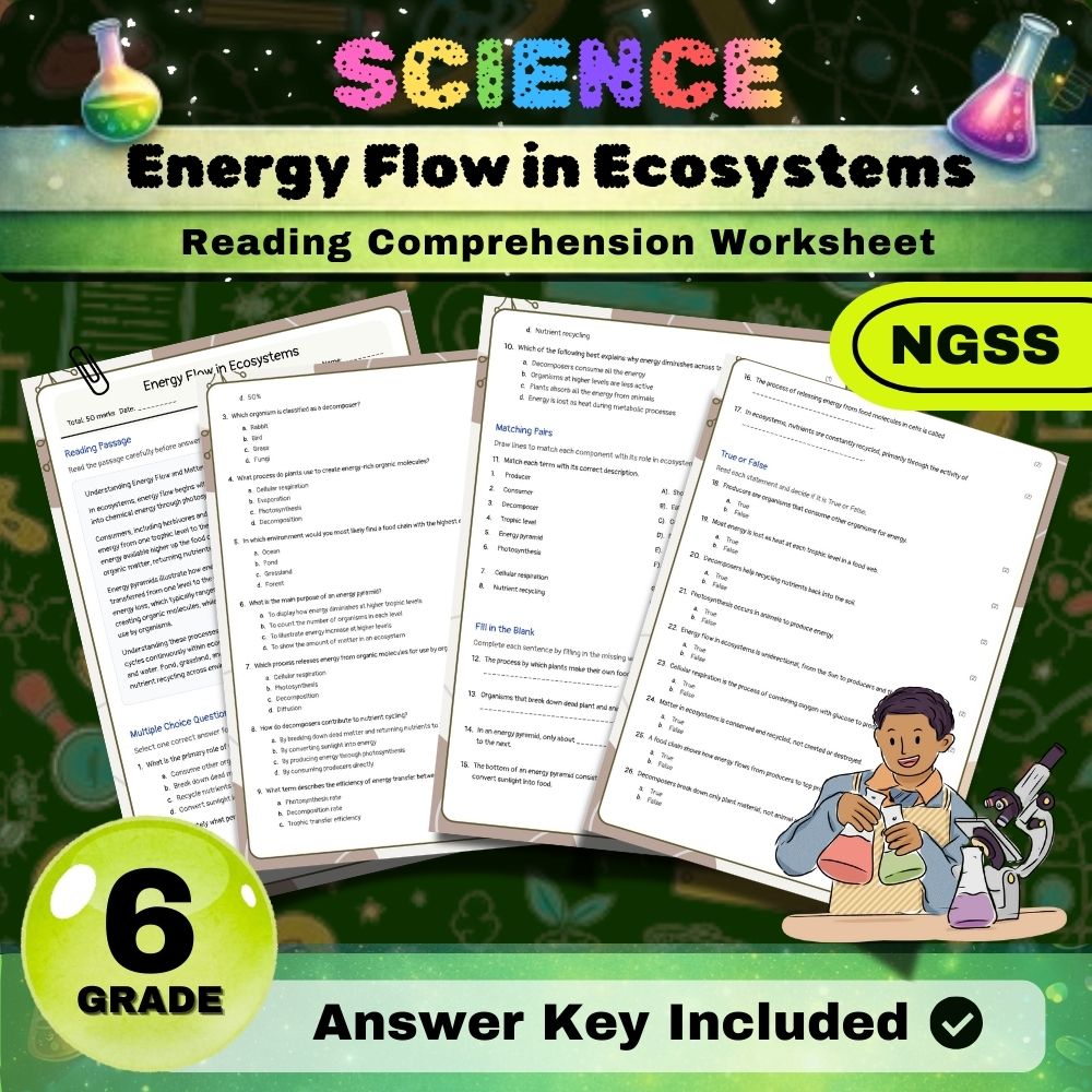Grade 6 Science Worksheets Bundle | NGSS-Aligned — included worksheet 8