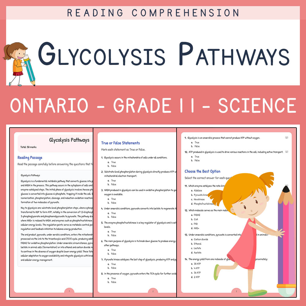 Grade 11 Science worksheet elena worksheet — Grade 11 Science | Glycolysis Pathways Worksheet Elena | Ontario Standard — p…