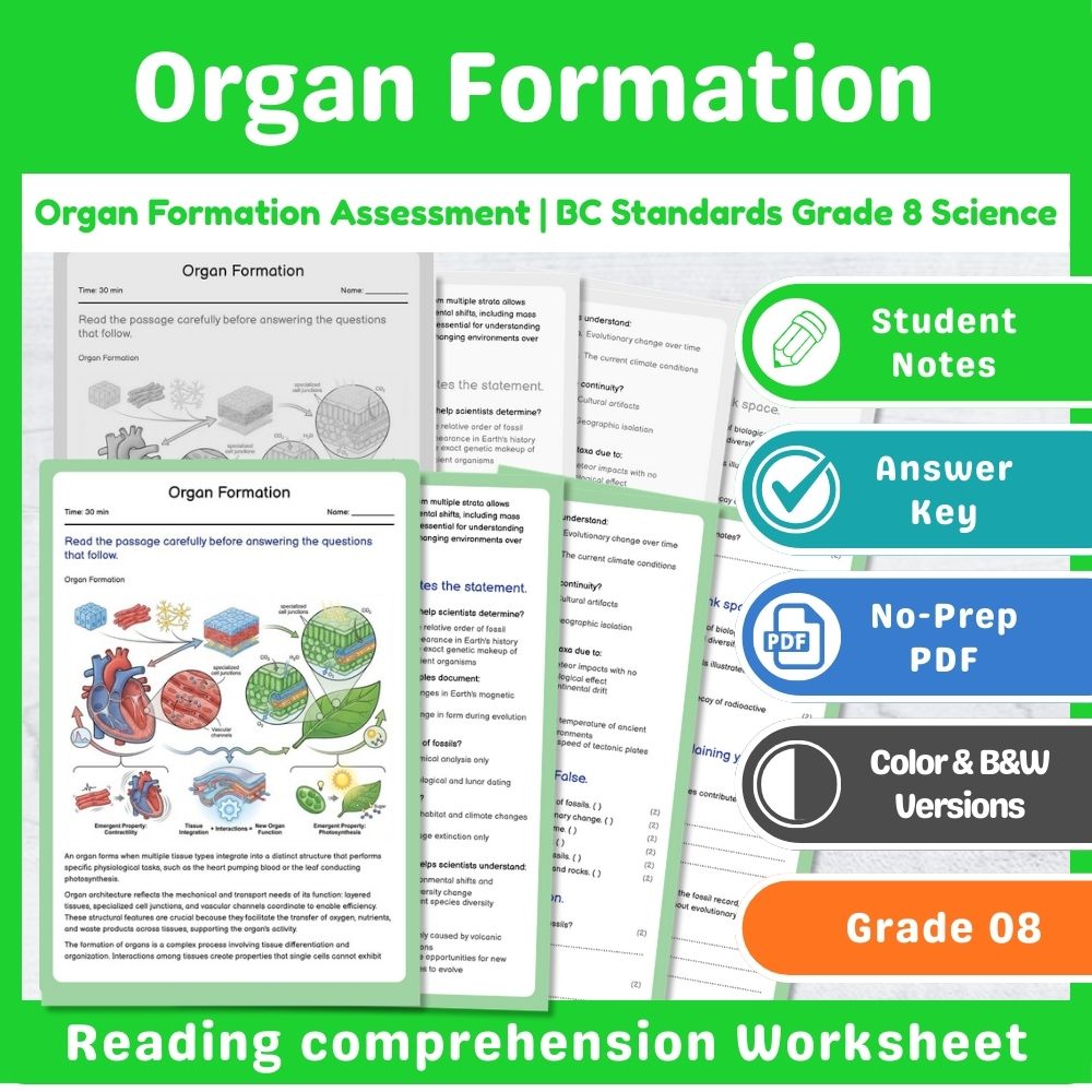 Grade 8 Science – Cell Structure & Function Assessment | Standards-Aligned Unit — included worksheet 5