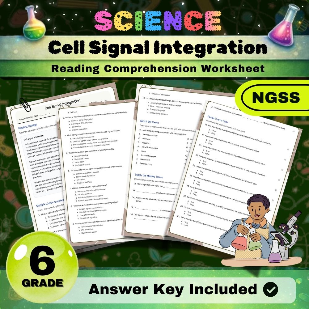 Grade 6 Science Worksheets Bundle | NGSS-Aligned — included worksheet 9