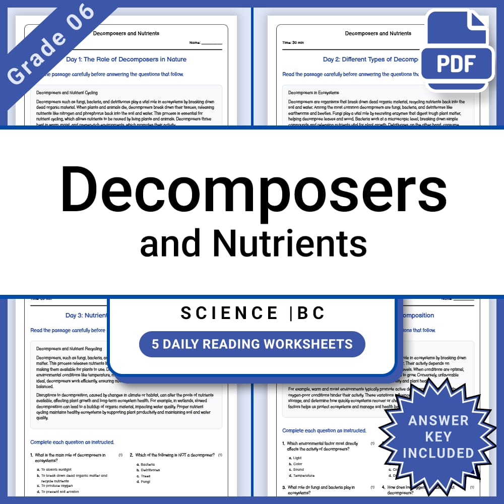 Grade 6 Science Lesson Group Bundle on Ecosystems and Ecology — included worksheet 1