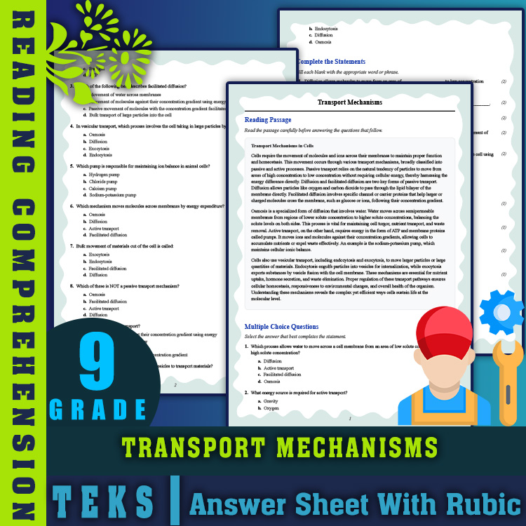 Grade 9 Science reading worksheets worksheet — 9th Grade Science | Transport Mechanisms Reading Worksheet & Answer Key (PD…