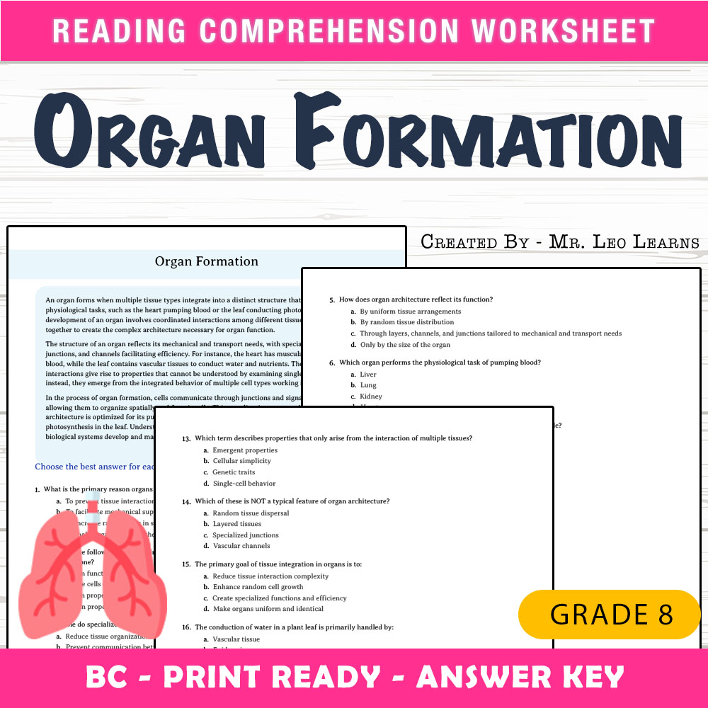 Grade 8 Science worksheet mcq paper worksheet — Grade 8 Science — Organ Formation Worksheet MCQ for Mastery — page 1