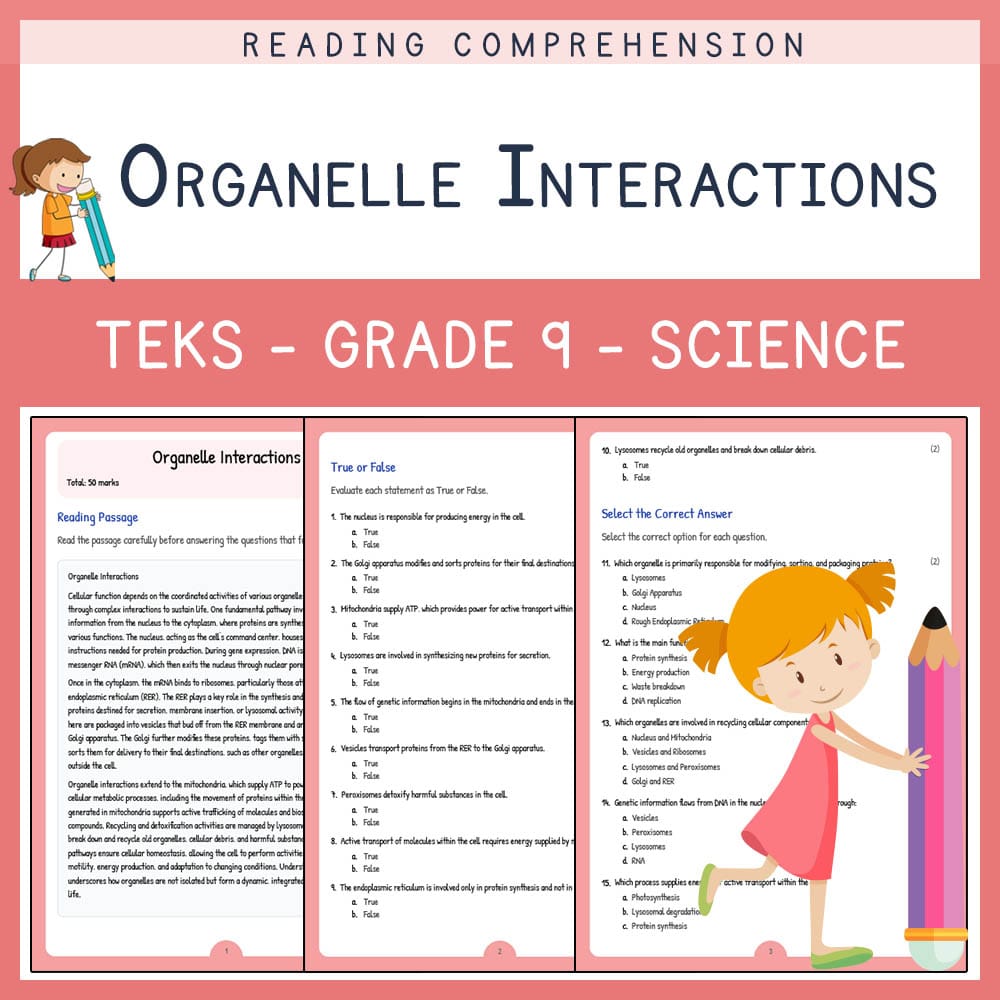 Grade 9 Science worksheet elena worksheet — Grade 9 Science | Organelle Interactions Worksheet | TEKS Aligned — page 1