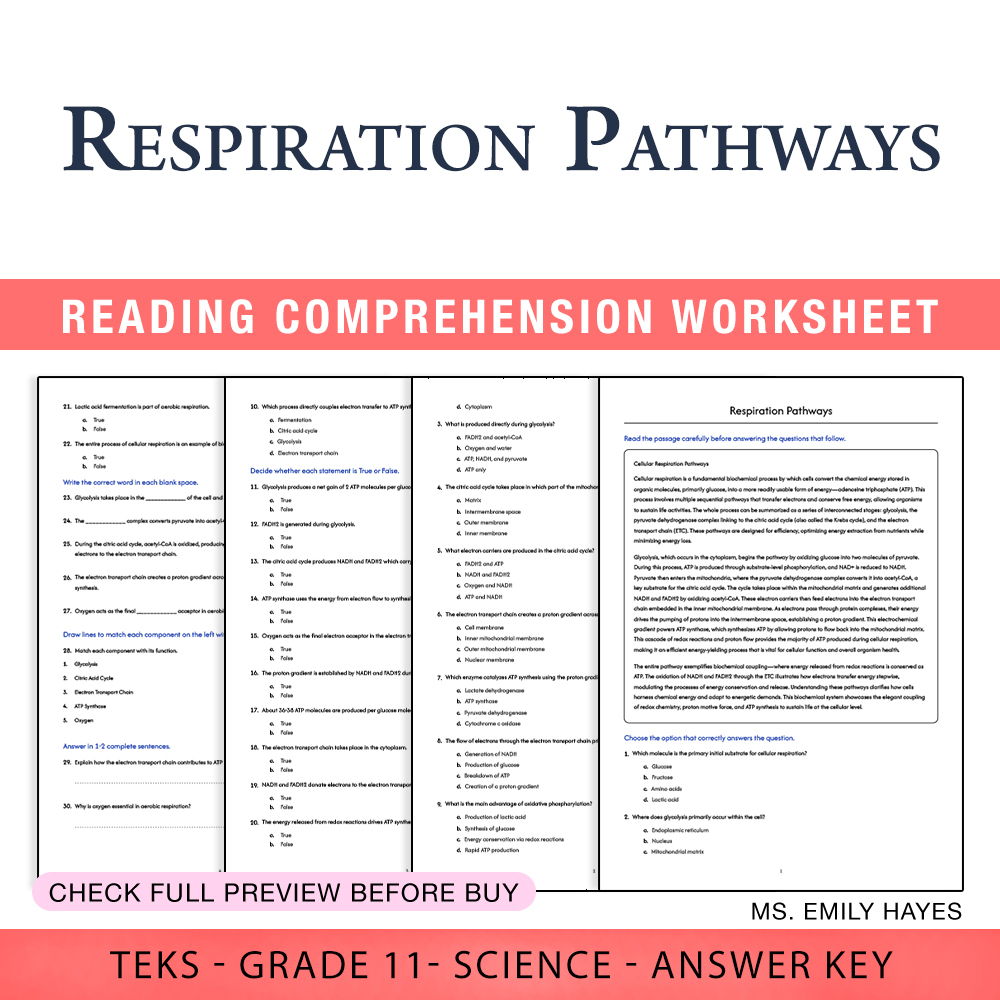 Grade 11 Science worksheet worksheet — 11th Grade Science | Respiration Pathways Worksheet (PDF+ Answer Key) — page 1