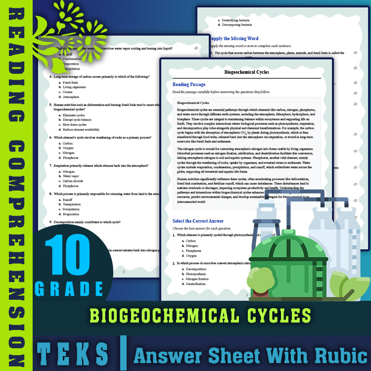 Grade 10 Science reading worksheets worksheet — Grade 10 Science | Biogeochemical Cycles Reading Worksheet (PDF + Answer K…
