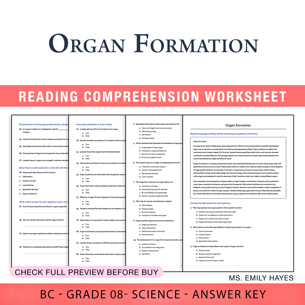 Grade 8 Science worksheet worksheet — Grade 8 Science | Organ Formation Worksheet (PDF+ Answer Key) — page 1