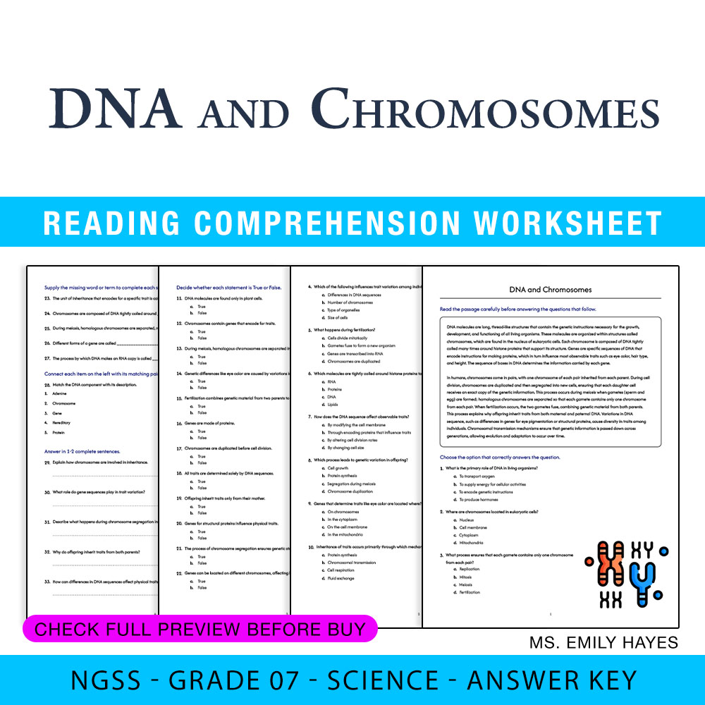 Grade 7 Science worksheet — 7th Grade Science | DNA and Chromosomes Worksheet (PDF+ Answer Key) — page 1