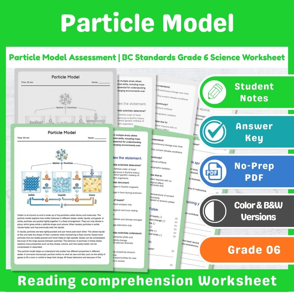 Grade 6 Science – Chemistry Assessment Mini Bundle | BC Standards-Aligned — included worksheet 1