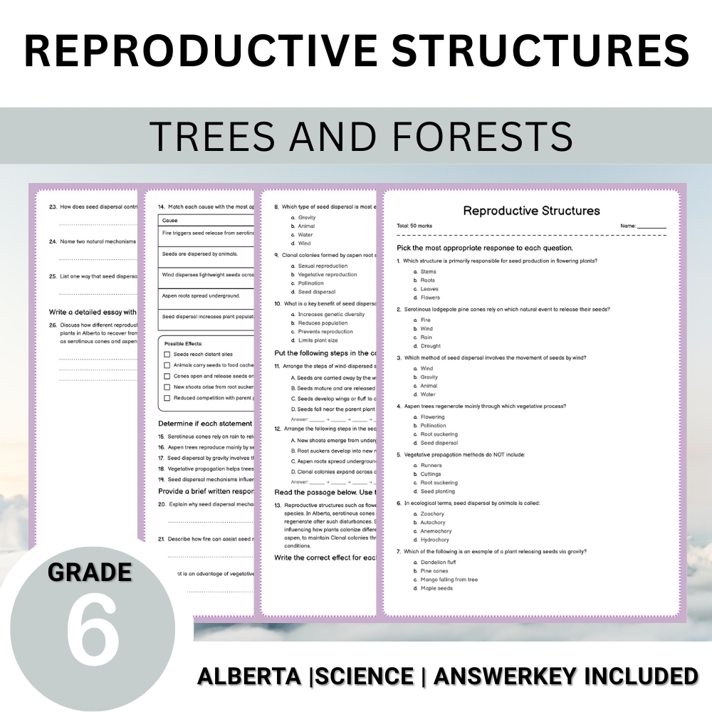 Grade 6 Science | Tree Anatomy, Ecology & Conservation Unit Worksheet Bundle — included worksheet 3