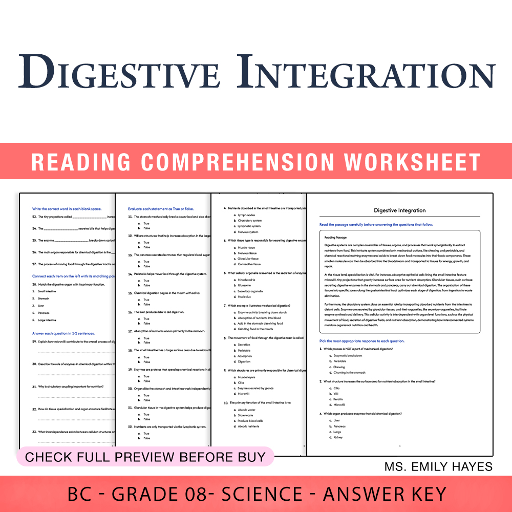 Grade 8 Science worksheet worksheet — Grade 8 Science | Digestive System Mastery Worksheet (PDF+ Answer Key) — page 1
