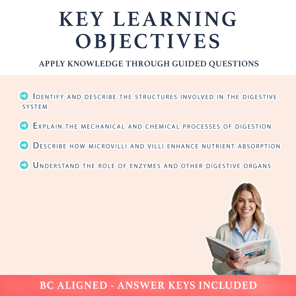 Grade 8 Science worksheet worksheet — Grade 8 Science | Digestive System Mastery Worksheet (PDF+ Answer Key) — page 2