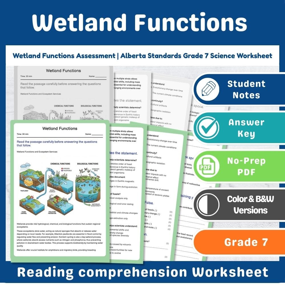 Grade 7 Science assessment worksheet — Wetland Functions Assessment | Alberta Standards Grade 7 Science Worksheet — page 1