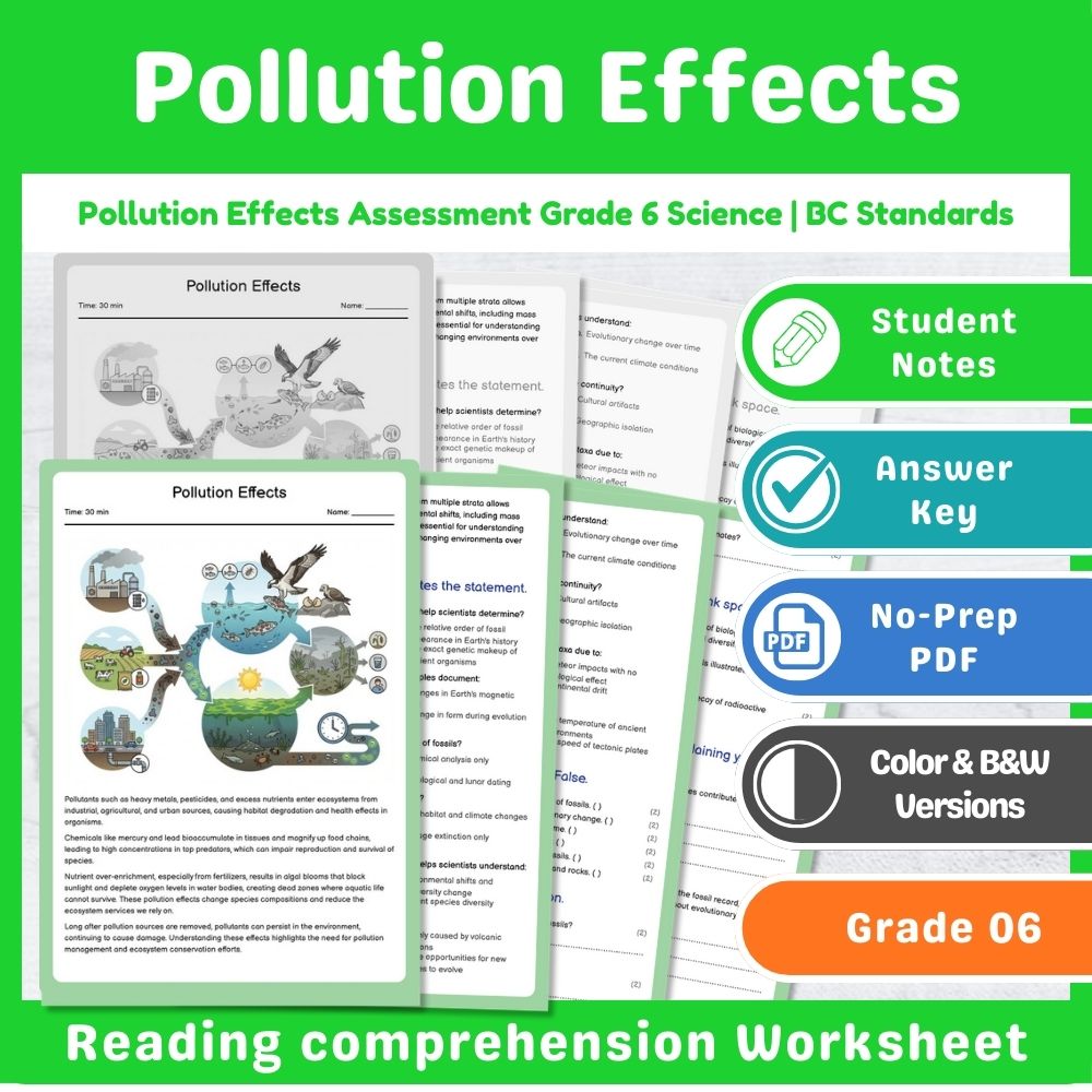 Grade 6 Science – Ecosystems Assessment & Ecology Lesson Bundle | Standards-Aligned — included worksheet 1