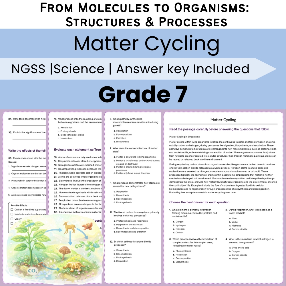 Grade 7 Science Lesson Bundle | From Molecules to Organisms NGSS — included worksheet 2