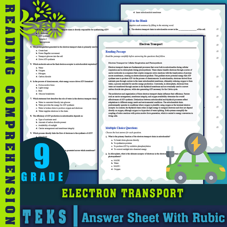 Grade 9 Science reading worksheets worksheet — 9th Grade Science | Electron Transport Reading Worksheets (PDF + Rubric) —…