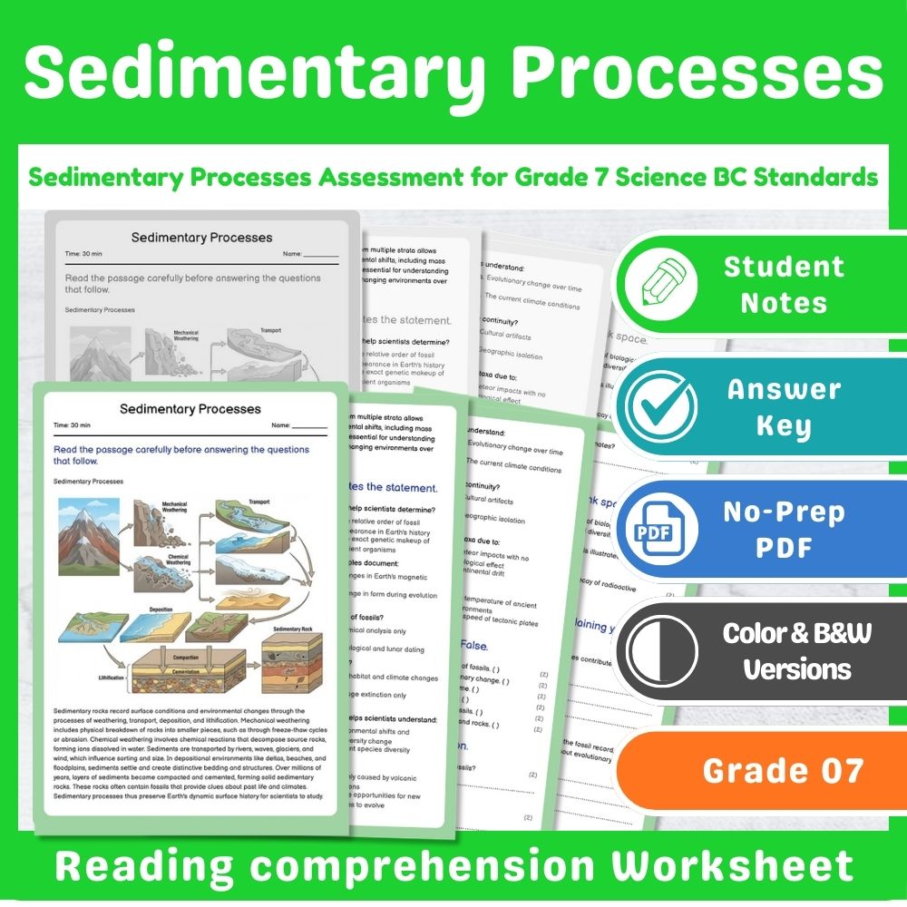 Grade 7 Science Lesson – Earth Processes Assessment & Landforms Bundle — included worksheet 2