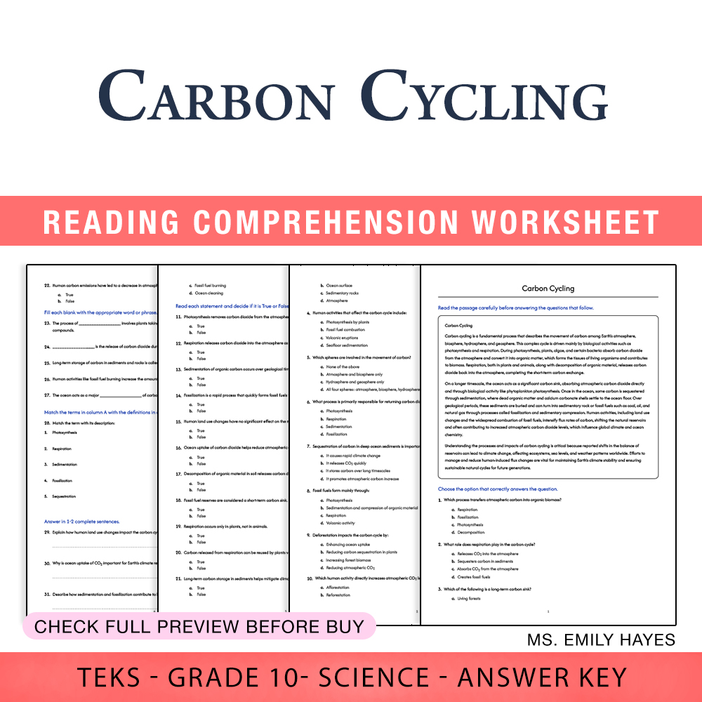 Grade 10 Science worksheet worksheet — Grade 10 Science | Carbon Cycling Worksheet (PDF+ Answer Key) — page 1