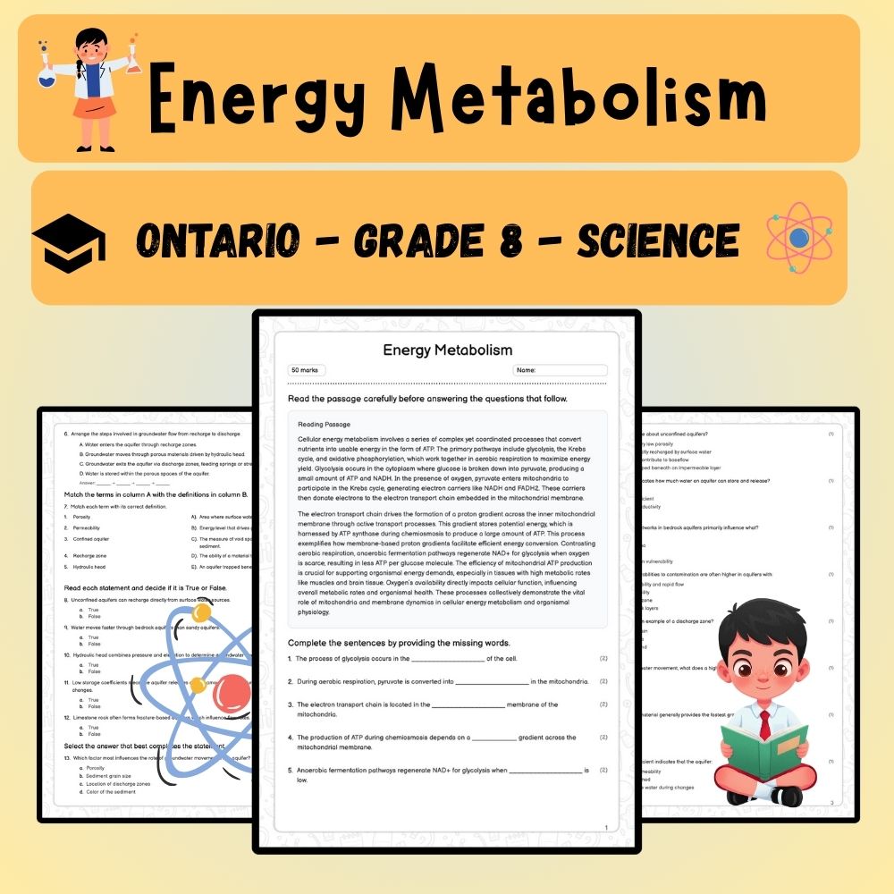 Grade 8 Science worksheet worksheet — Grade 8 Science – Energy Metabolism Worksheet (PDF ) – Ontario Standards — page 1
