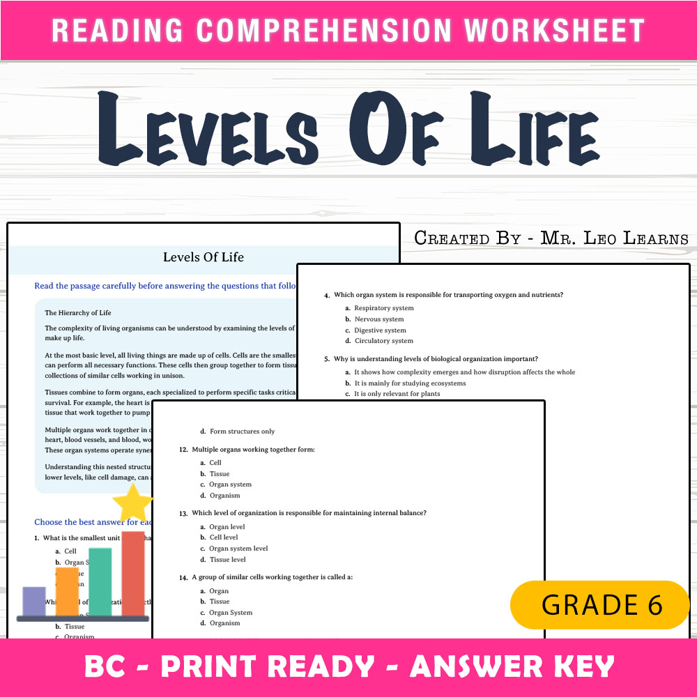 Grade 6 Science worksheet mcq paper worksheet — Grade 6 Science | Levels of Life MCQ Worksheet for Mastery — page 1