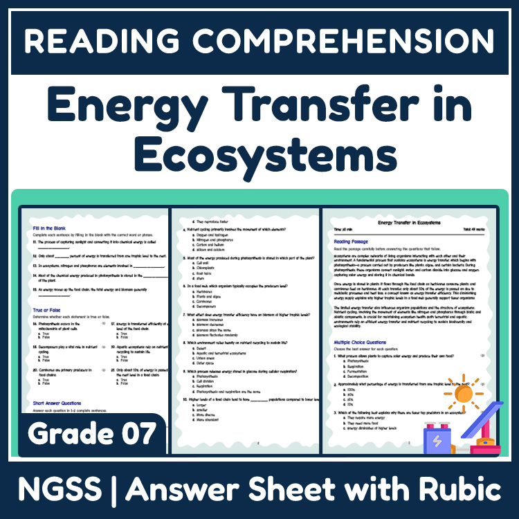 Science reading worksheets worksheet — Grade 7 Science Reading Worksheets – Ecosystems & Energy Transfer (PDF) — page 1