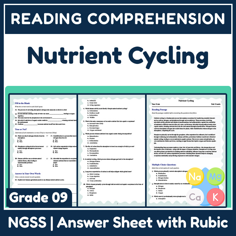 Grade 9 Science reading worksheets worksheet — Grade 9 Science | Nutrient Cycling Reading Worksheet (PDF + Answer Key) — p…