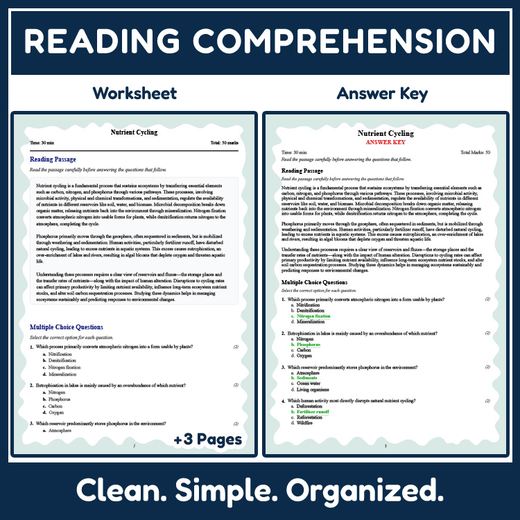 Grade 9 Science reading worksheets worksheet — Grade 9 Science | Nutrient Cycling Reading Worksheet (PDF + Answer Key) — p…