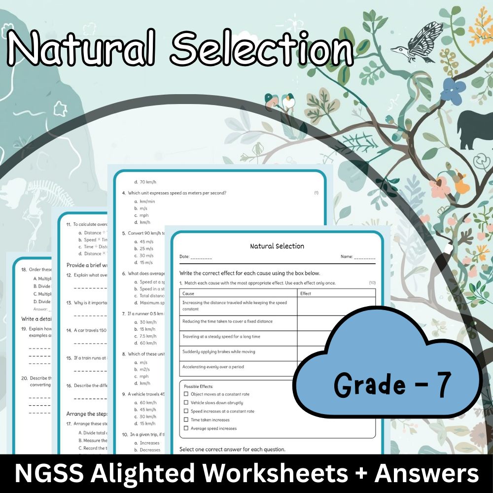 Grade 7 Science | Natural Selection & Evolution Worksheet  + Answer Key - PDF