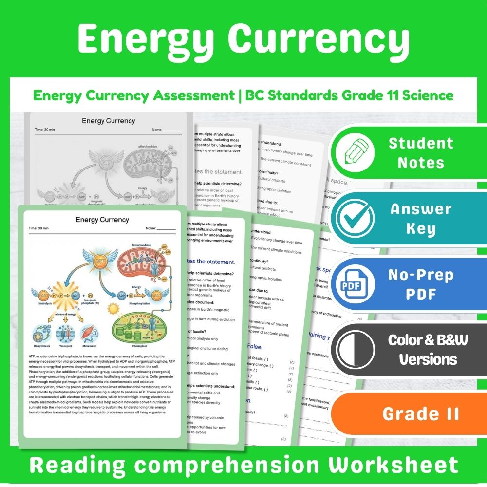 Grade 11 Science Lesson Assessment Bundle | Photosynthesis & Genetics — included worksheet 3