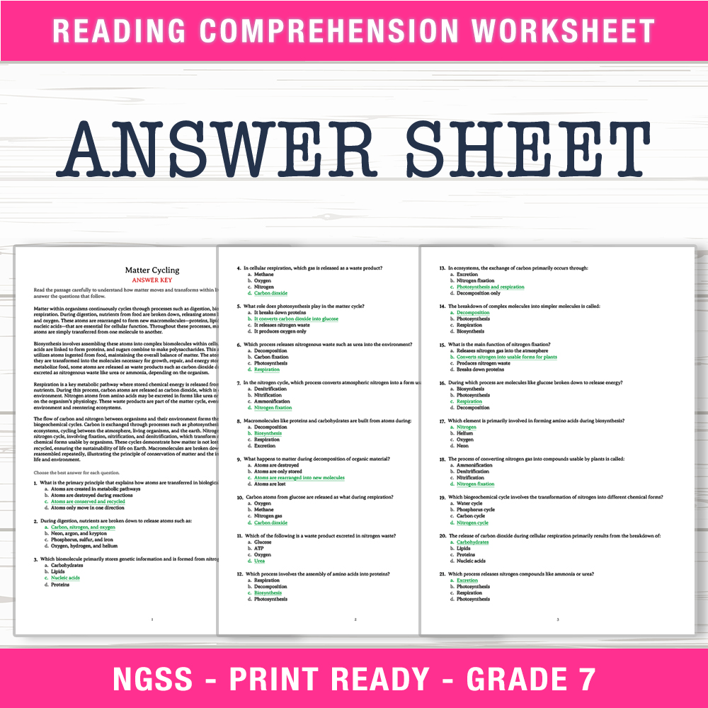 Grade 7 Science worksheet worksheet — Grade 7 Science | Matter Cycling Worksheet (PDF + Answer Key) — page 2
