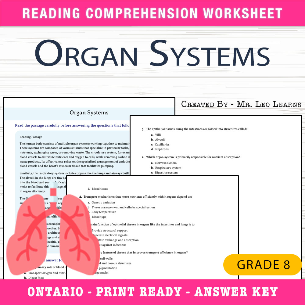 Grade 8 Science worksheet worksheet — Grade 8 Science – Organ Systems Worksheet for Mastery — page 1