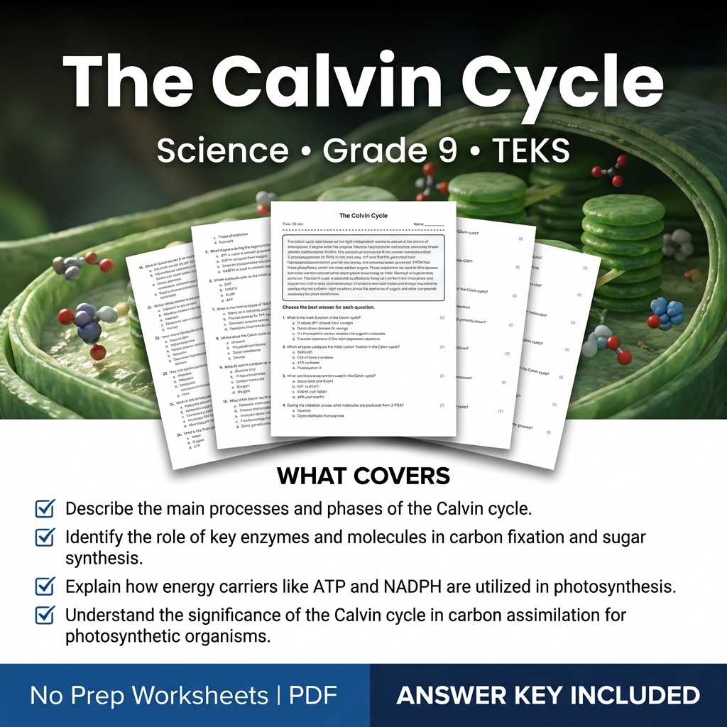Grade 9 Science Worksheet on The Calvin Cycle | TEKS Aligned