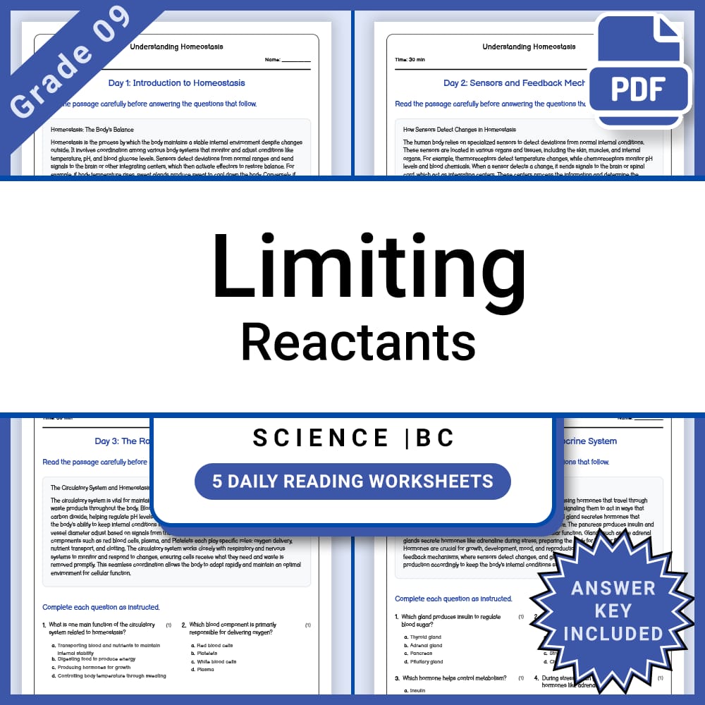 Grade 9 Science Lesson Group BC Framework | Chemistry, Physics, and More — included worksheet 2