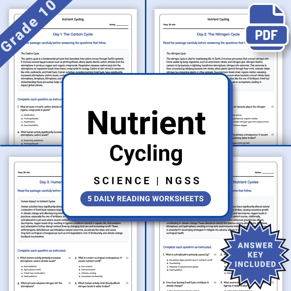 Grade 10 Science daily reading worksheet worksheet — Grade 10 Science – Nutrient Cycling Worksheet (PDF +Answer Key) — page 1