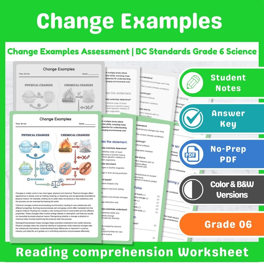Grade 6 Science – Chemistry Assessment Mini Bundle | BC Standards-Aligned — included worksheet 2