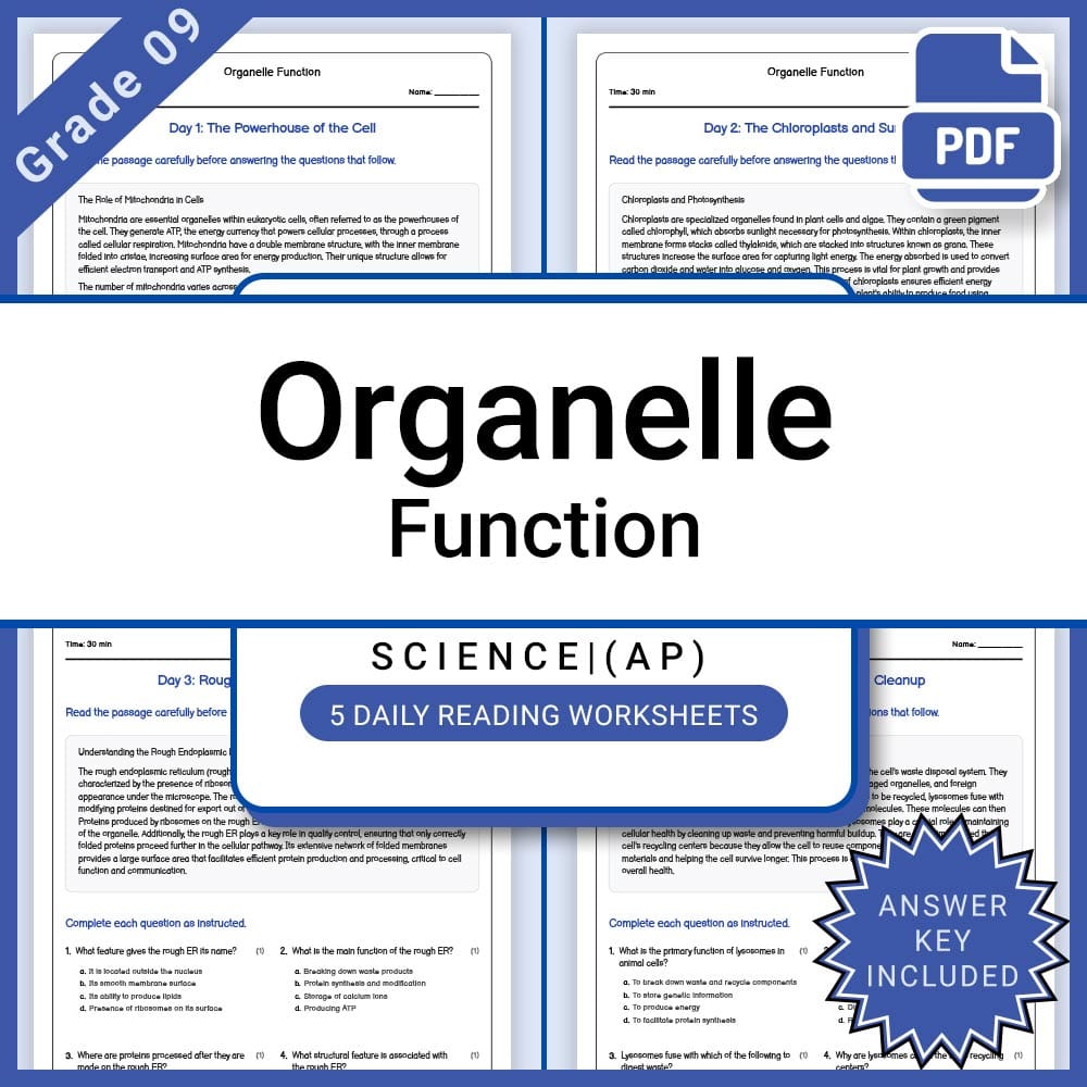Grade 9 Science daily reading worksheet worksheet — Grade 9 Science – Organelle Function Daily Reading Worksheet + Answer…