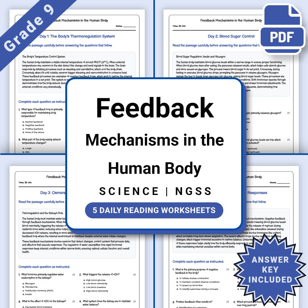 Grade 9 Science – Feedback Mechanisms Worksheet(PDF + Answer Key)