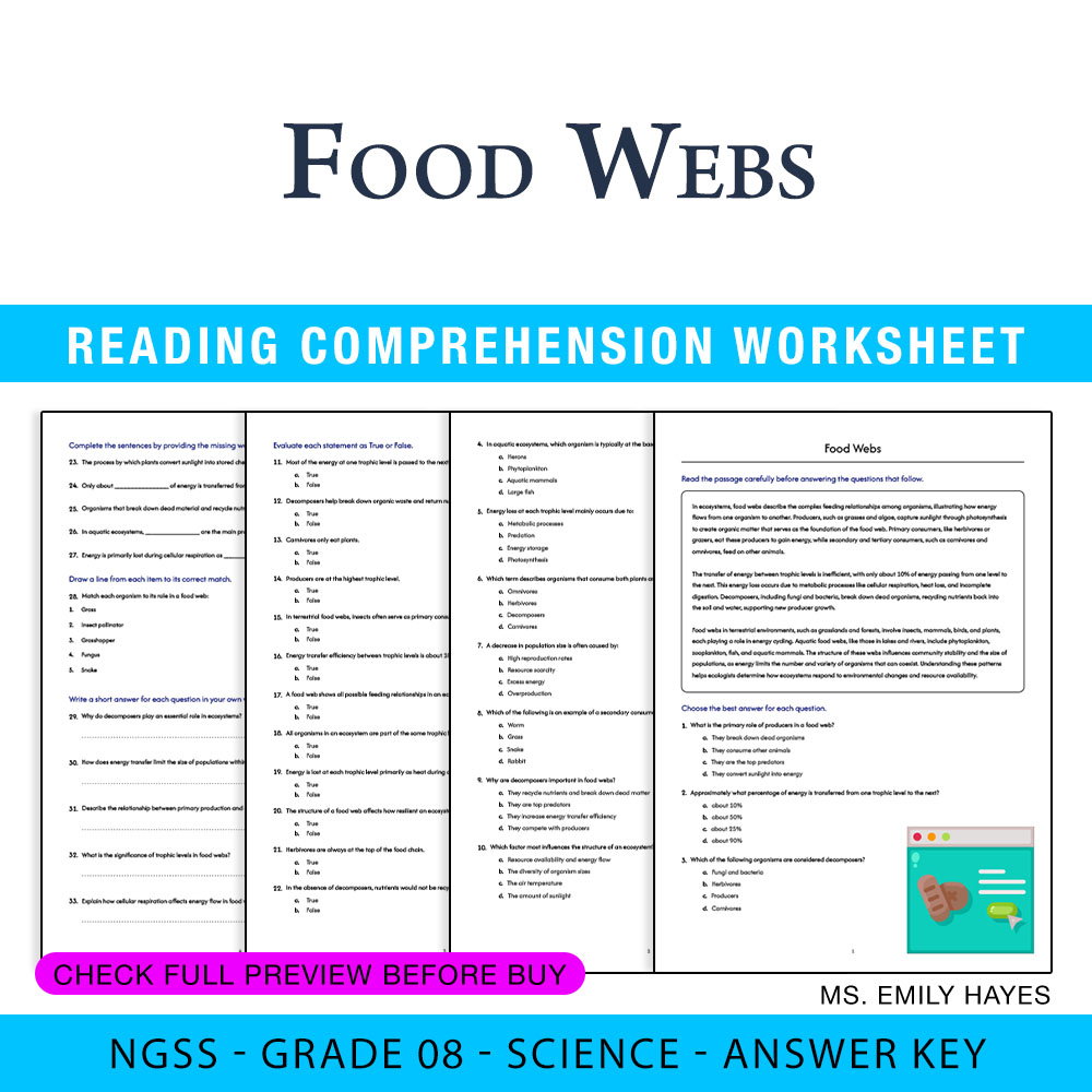 Grade 8 Science worksheet worksheet — 8th Grade Science | Food Webs Worksheet (PDF+ Answer Key) — page 1