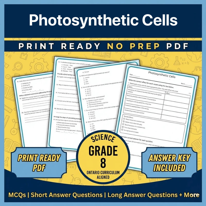 Grade 8 Science | Photosynthetic Cells Worksheet (Ontario) PDF