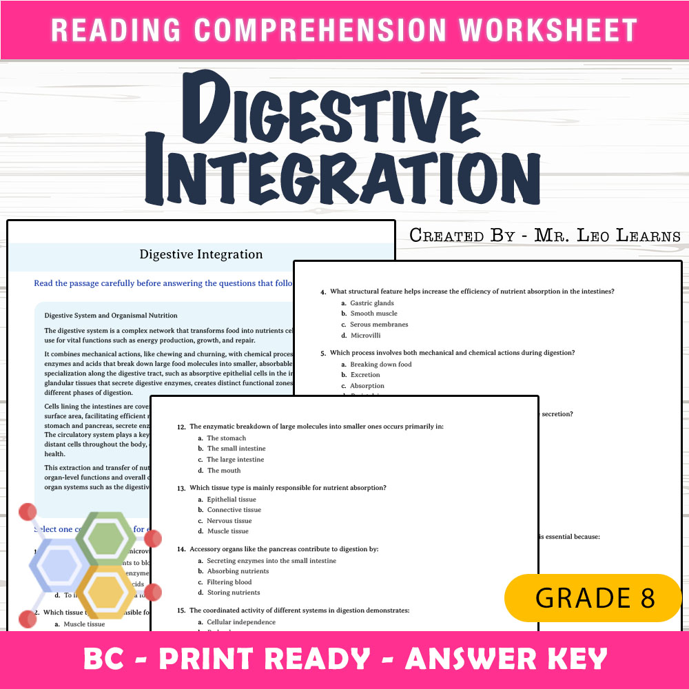 Grade 8 Science worksheet mcq paper worksheet — Grade 8 Science — Digestive Integration Worksheet MCQ Paper — page 1