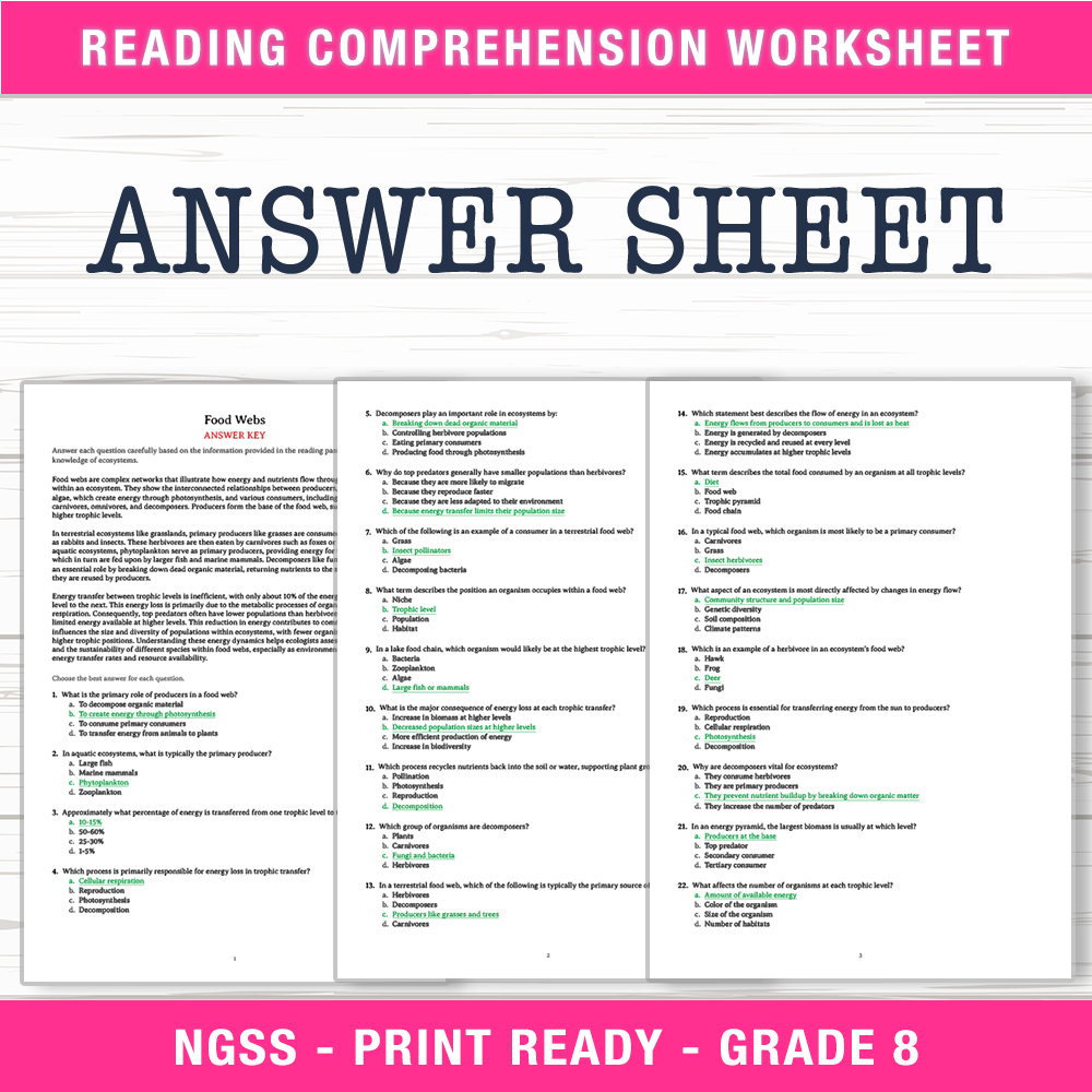 Grade 8 Science worksheet worksheet — Grade 8 Science | Food Webs Worksheet (PDF + Answer Key) — page 2