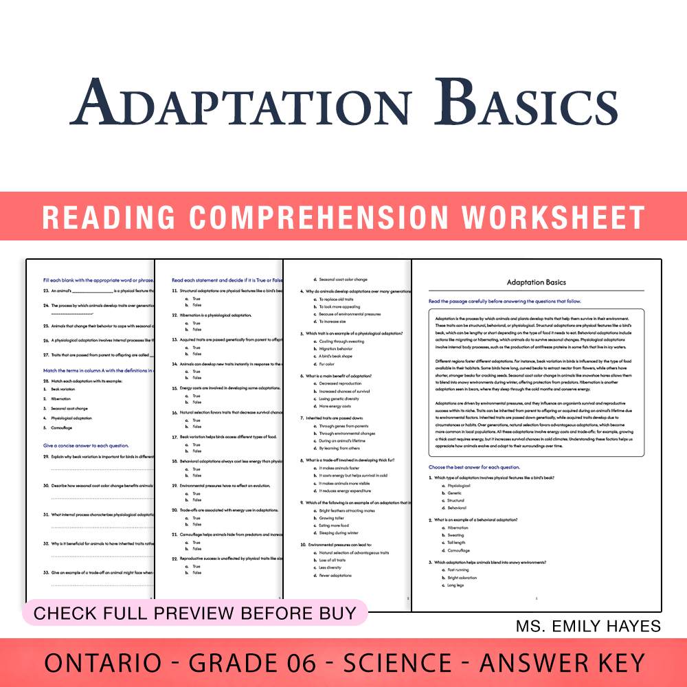 Grade 6 Science worksheet worksheet — 6th Grade Science | Adaptation Basics Worksheet (PDF+ Answer Key) — page 1