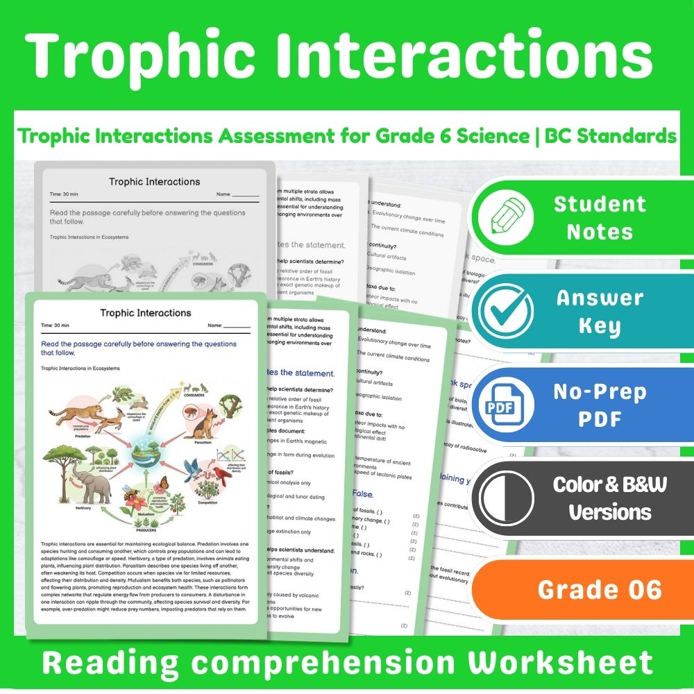 Grade 6 Science – Ecosystems Assessment & Ecology Lesson Bundle | Standards-Aligned — included worksheet 2