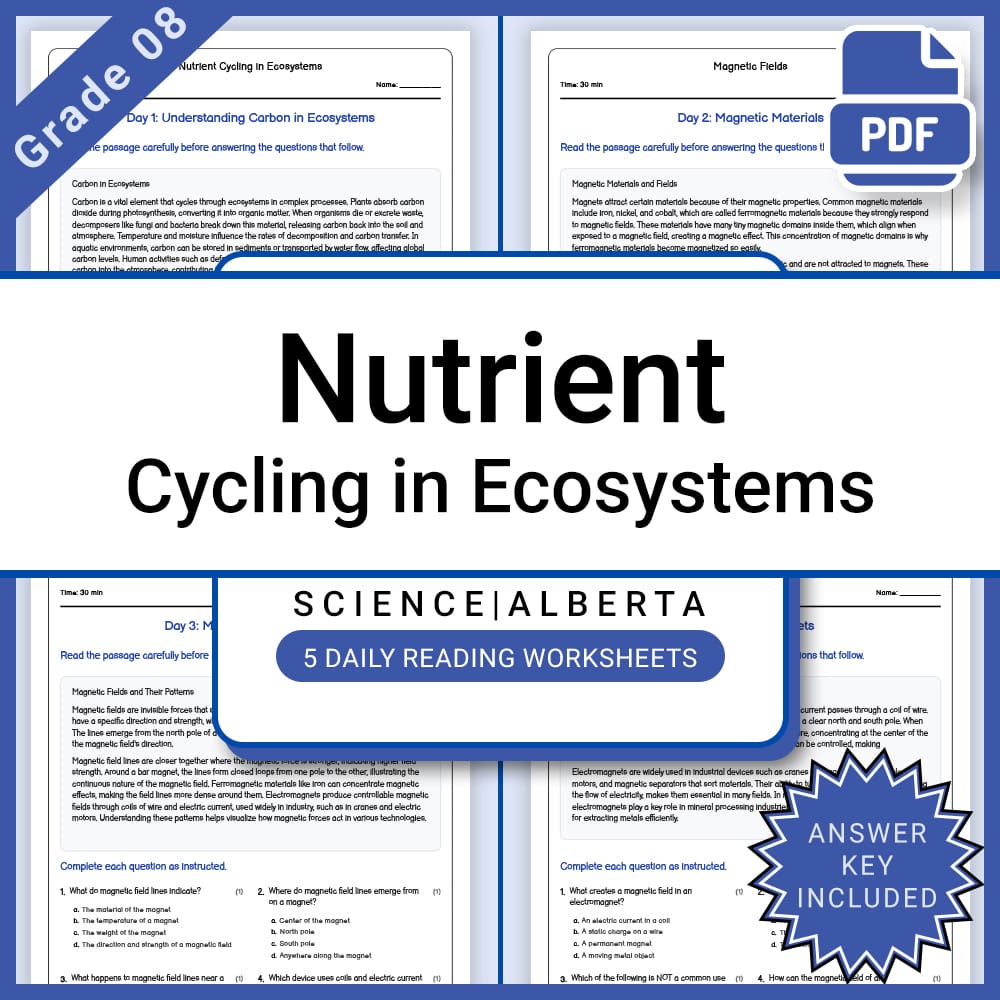 Grade 8 Science Lesson Bundle | Ecosystems, Energy, and Environmental Impact — included worksheet 3