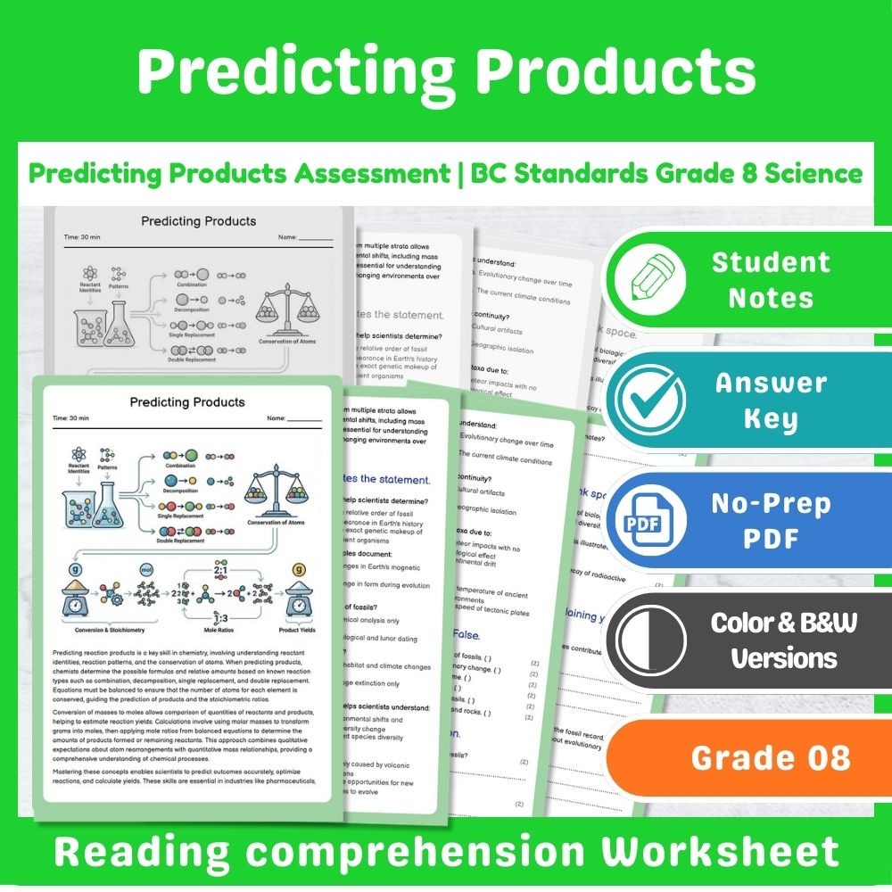 Grade 8 Science Lesson – Reaction Types & Evidence Assessment Bundle — included worksheet 1